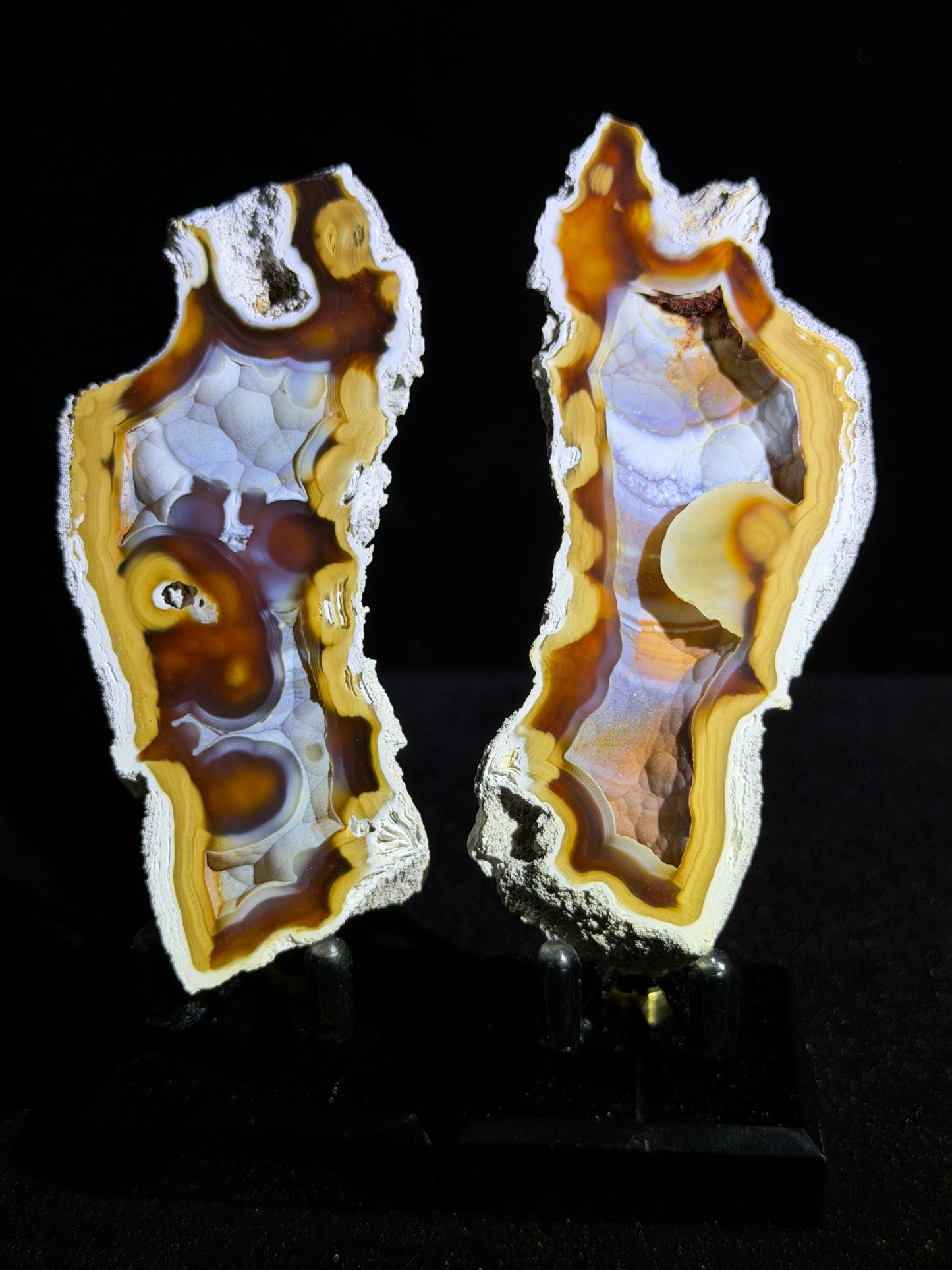 Polished Coral Geode Pair