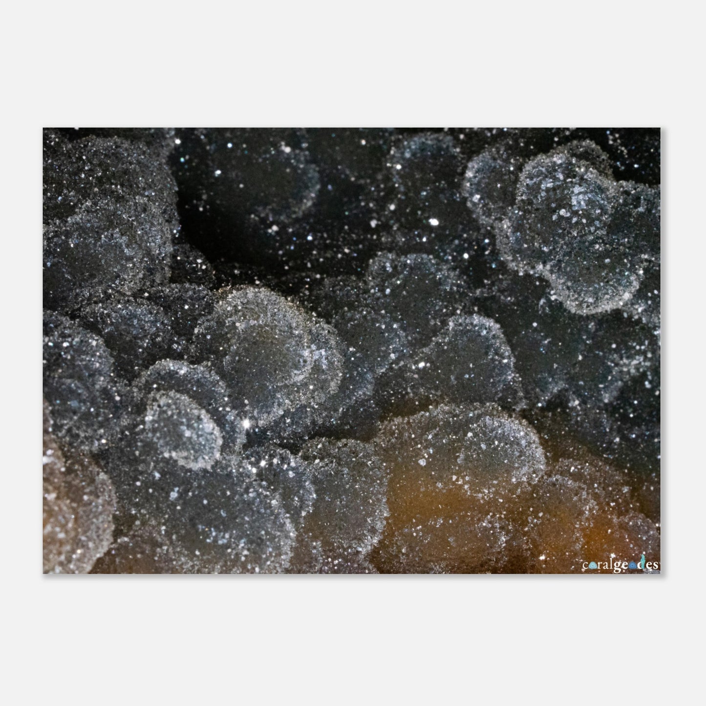 2cfc33de-ac12-48c0-9c22-aaf7cf01da9d