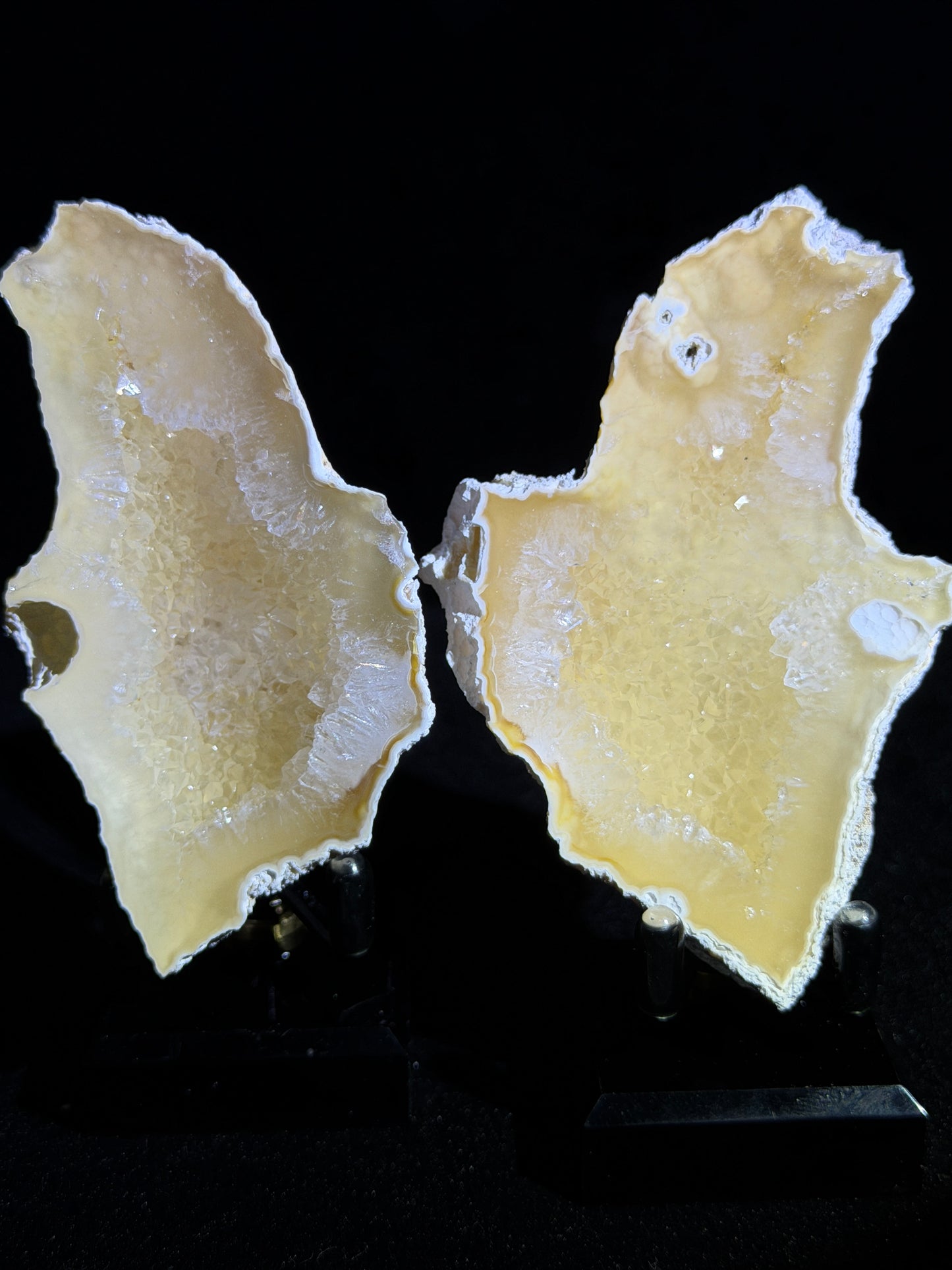 Polished Coral Geode Pair