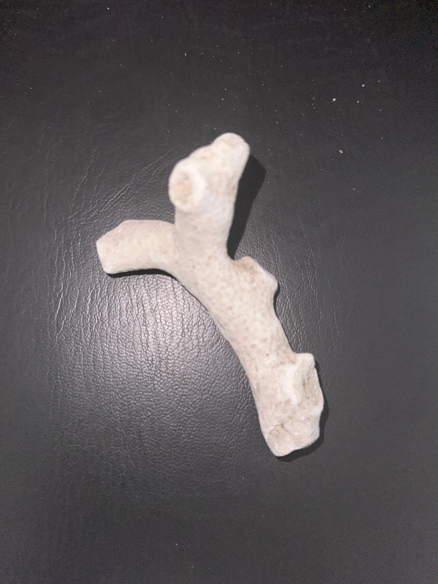 @janfitc (5 claimed pieces)