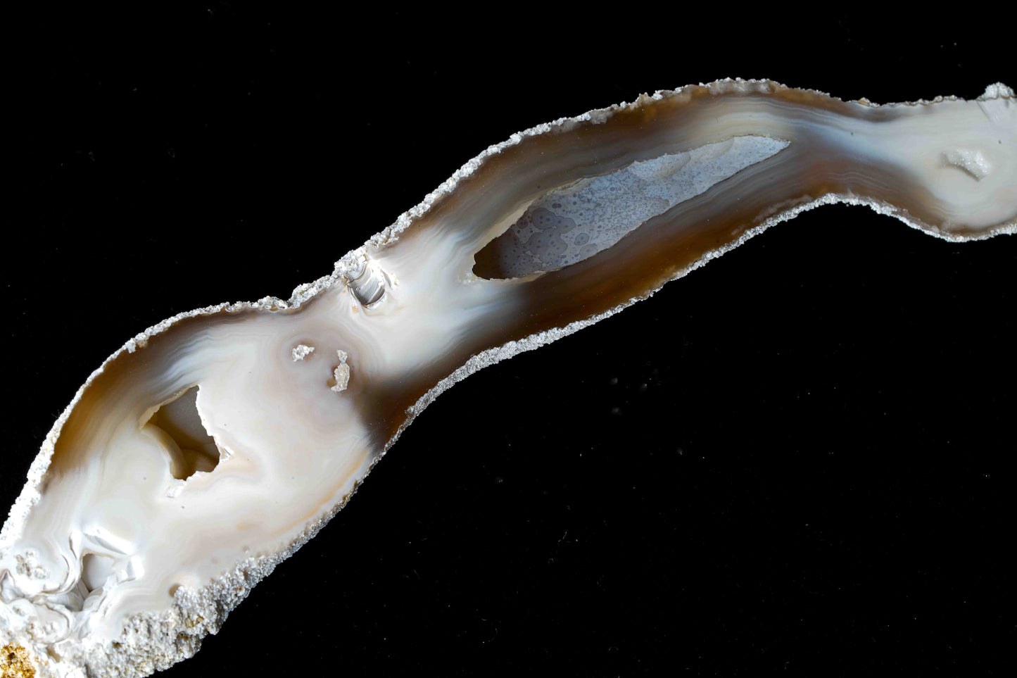 Polished Coral Geode/Fossil pair with Crystals