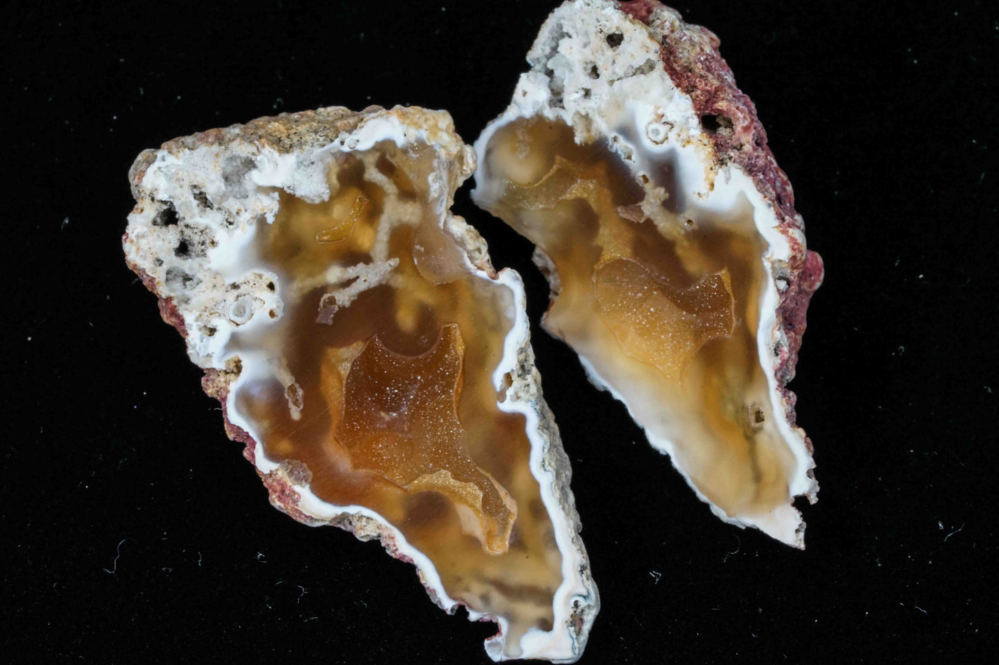 Polished Coral Geode/Fossil Pair with Crystals