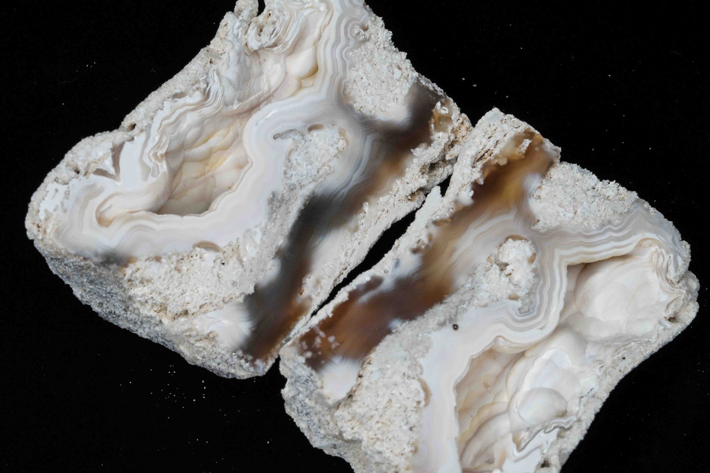 Polished Coral Geode/Fossil Pair