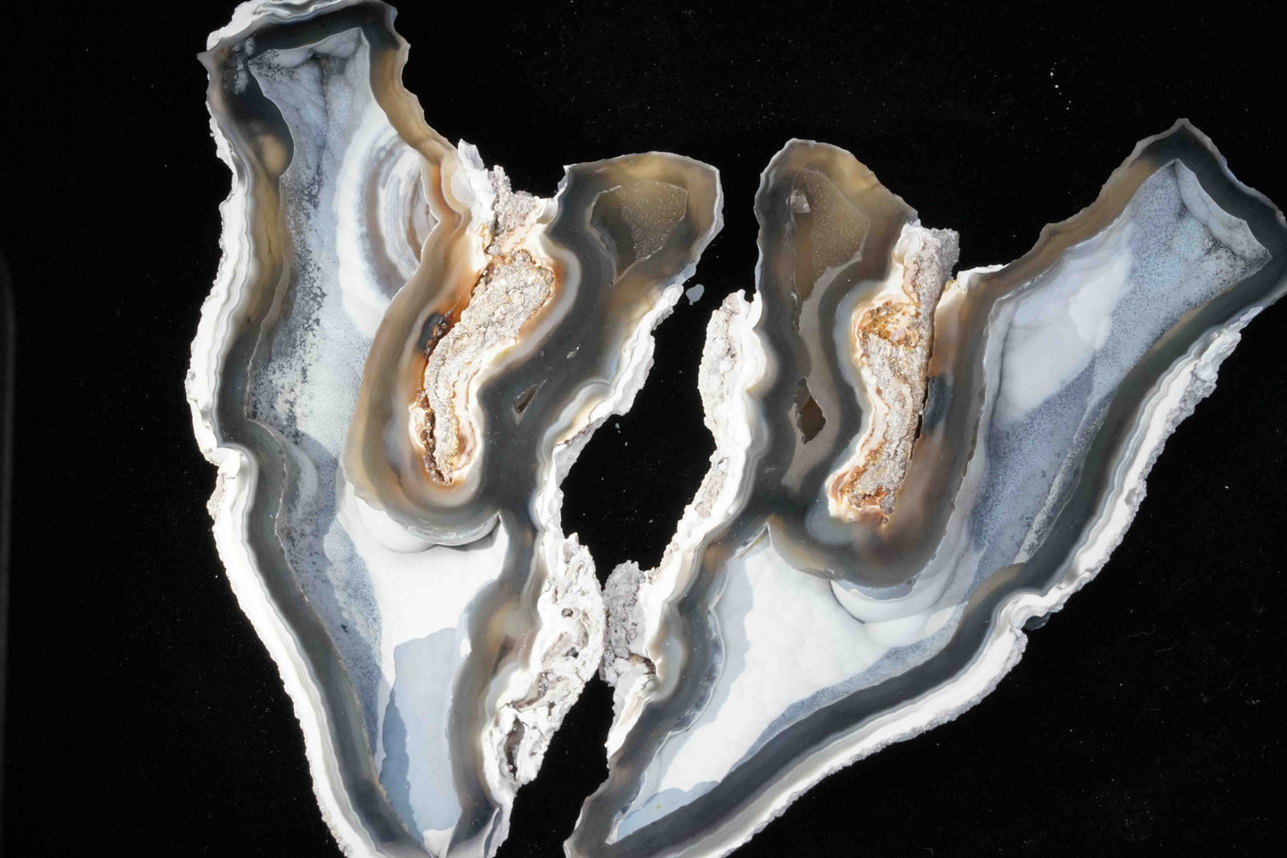 Polished Coral Geode/Fossil Pair with Crystals