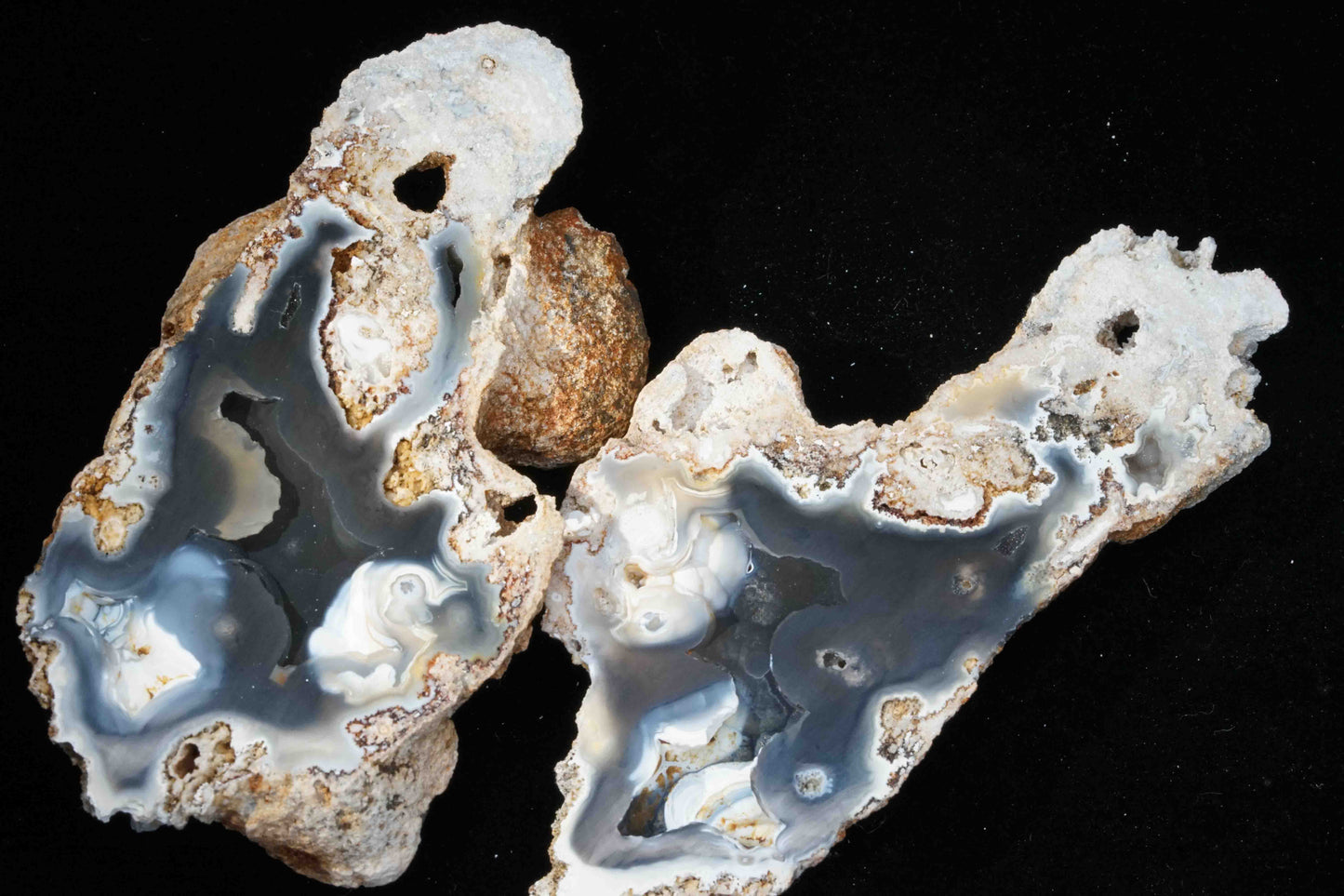 Polished Coral Geode/Fossil Pair
