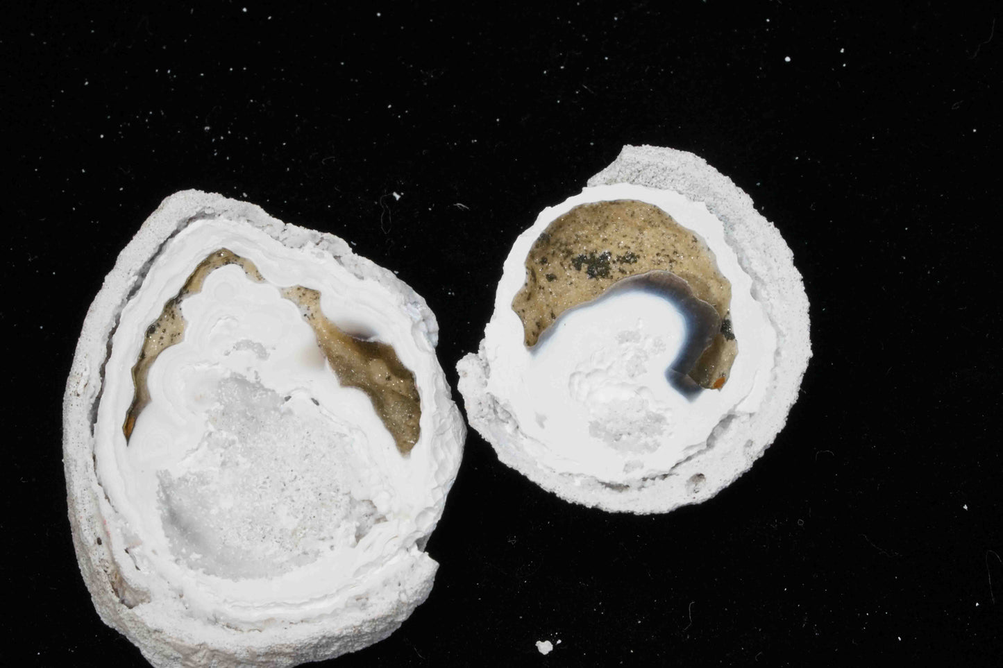 Polished Coral Geode/Fossil Pair with Crystals