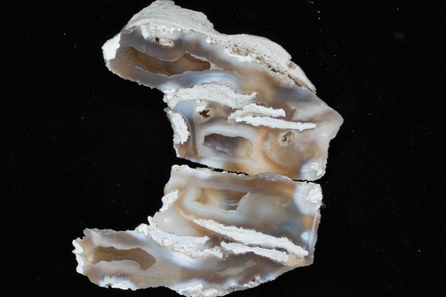 Polished Coral Geode/Fossil pair with Crystals