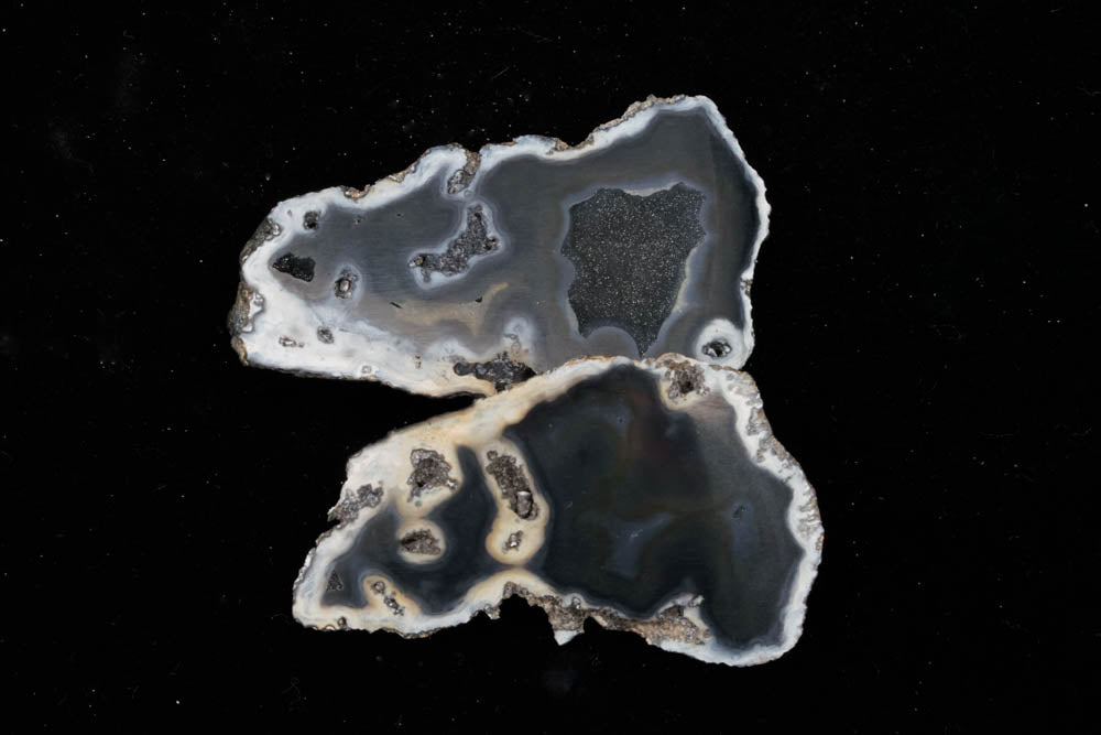 Polished Coral Geode/Fossil pair with Crystals