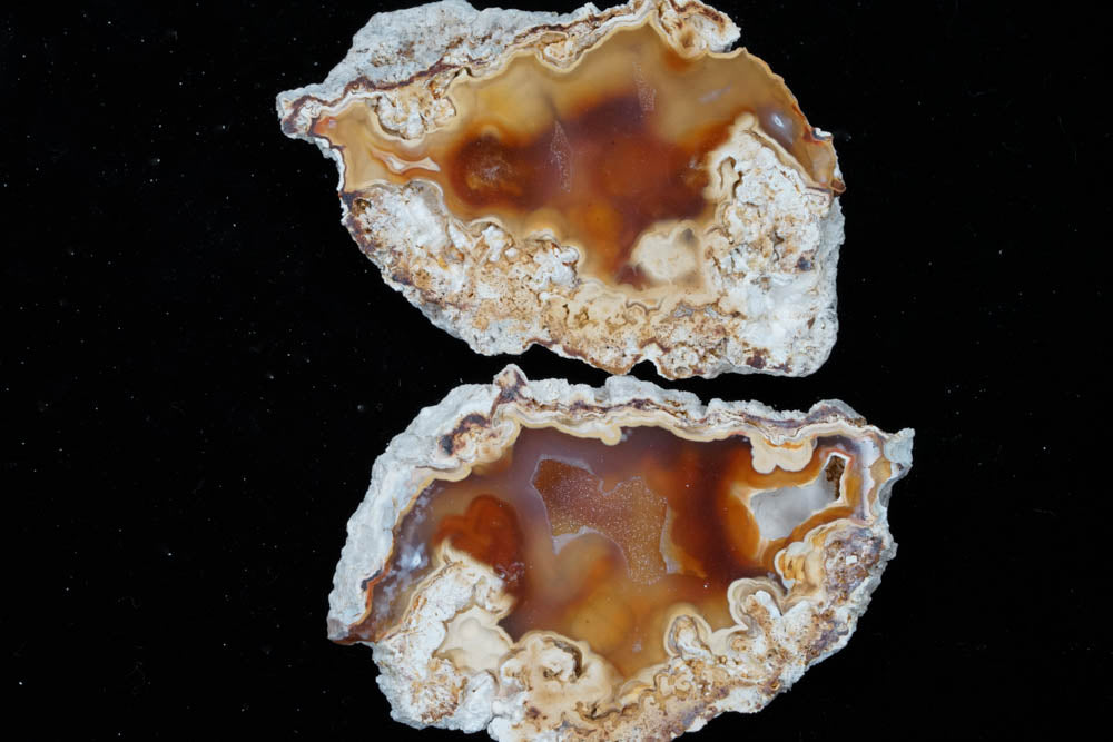 Polished Coral Geode/Fossil Pair with Crystals