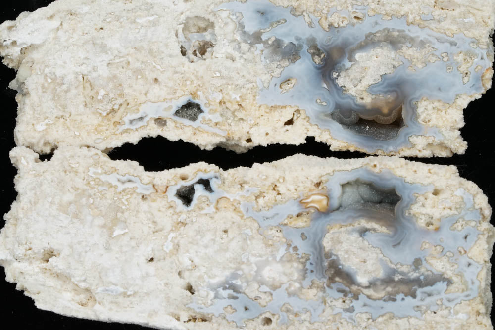 Polished Coral Geode/Fossil Pair with Crystals