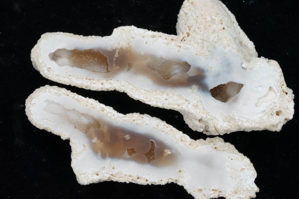 Polished Coral Geode/Fossil pair with Crystals