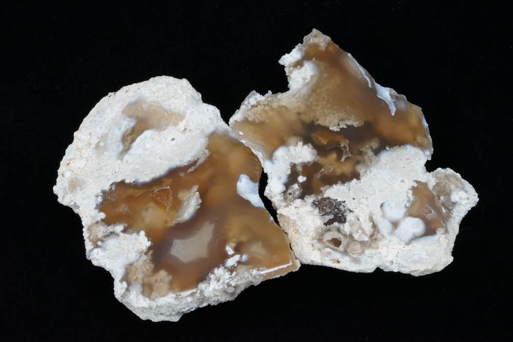 Polished Coral Geode/Fossil Pair with Crystals