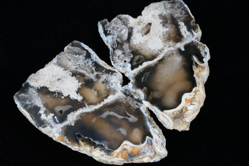 Polished Coral Geode/Fossil Pair with Crystals