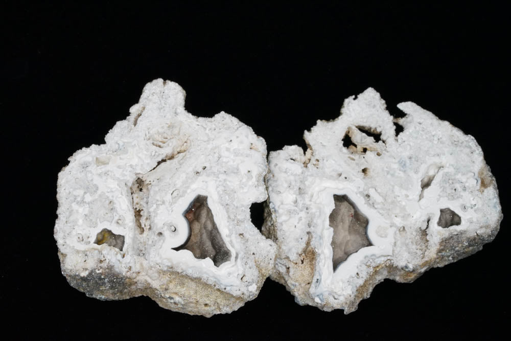 Coral Geode/Fossil Pair with Crystals