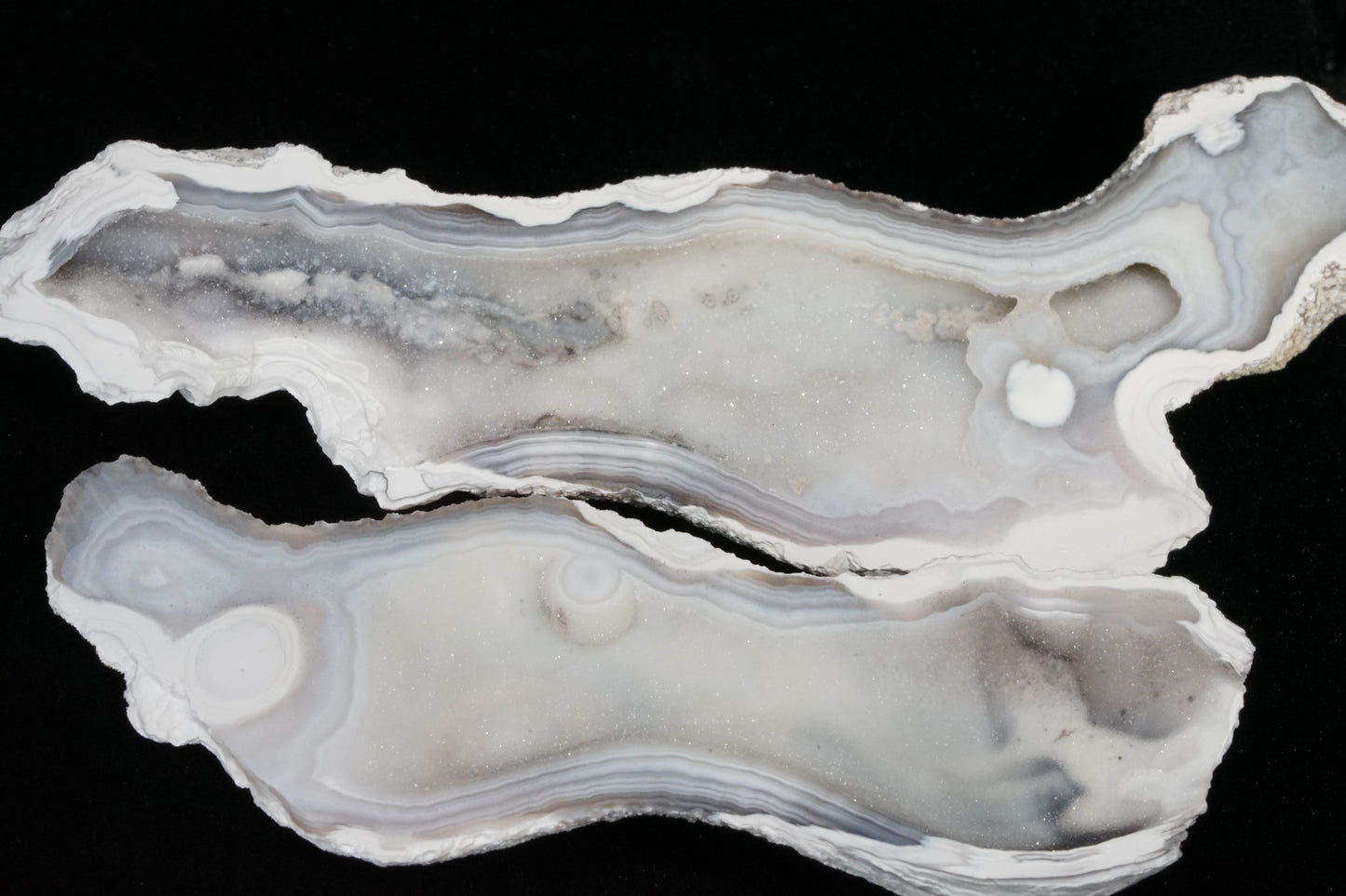 Polished Coral Geode/Fossil Pair with Crystals