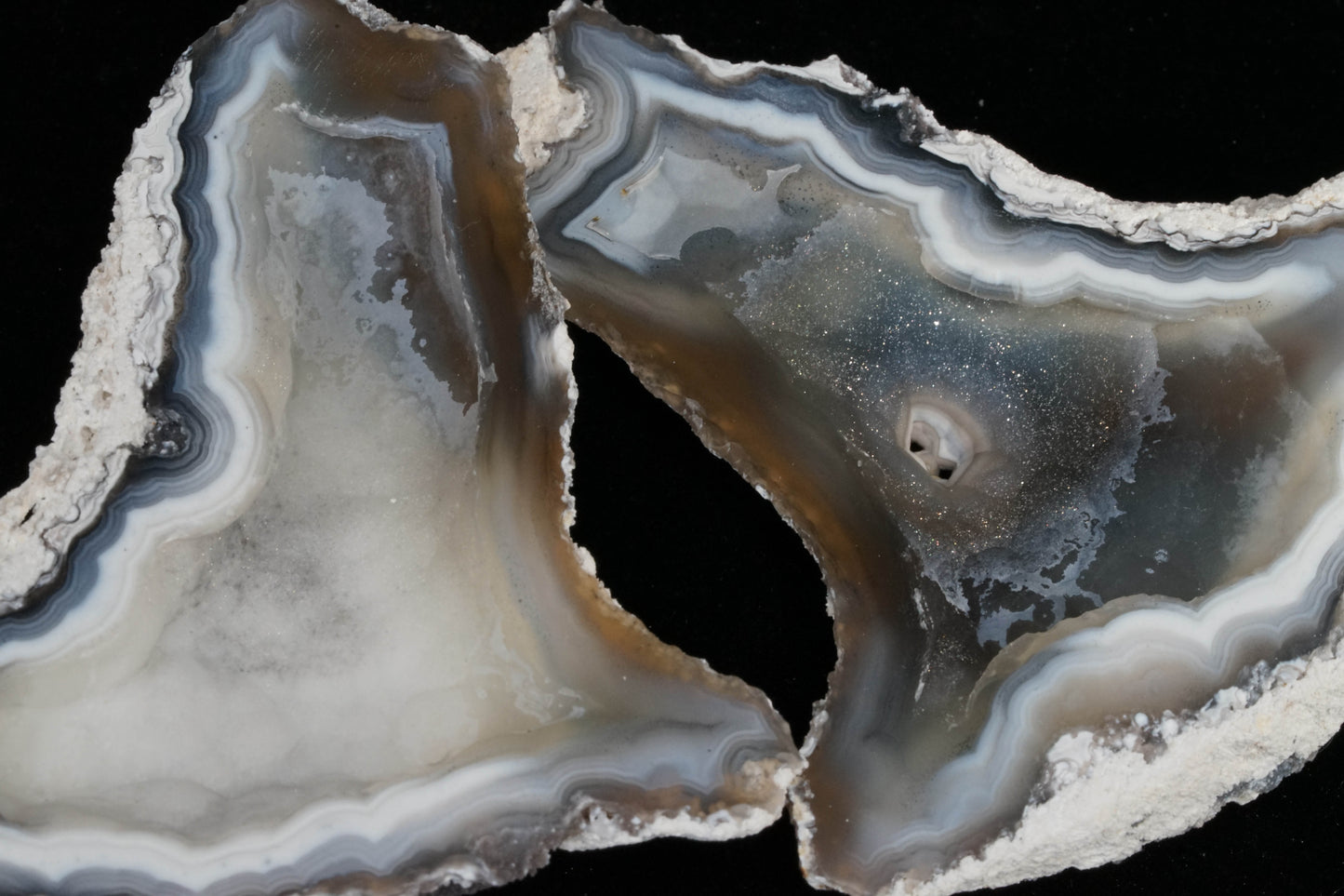 Polished Coral Geode/Fossil Pair with Crystals