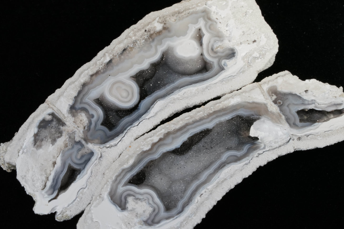 Polished Coral Geode/Fossil Pair with Crystals