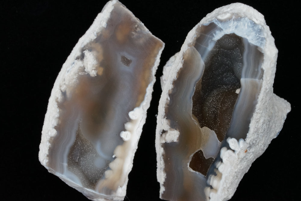 Polished Coral Geode/Fossil Pair with Crystals