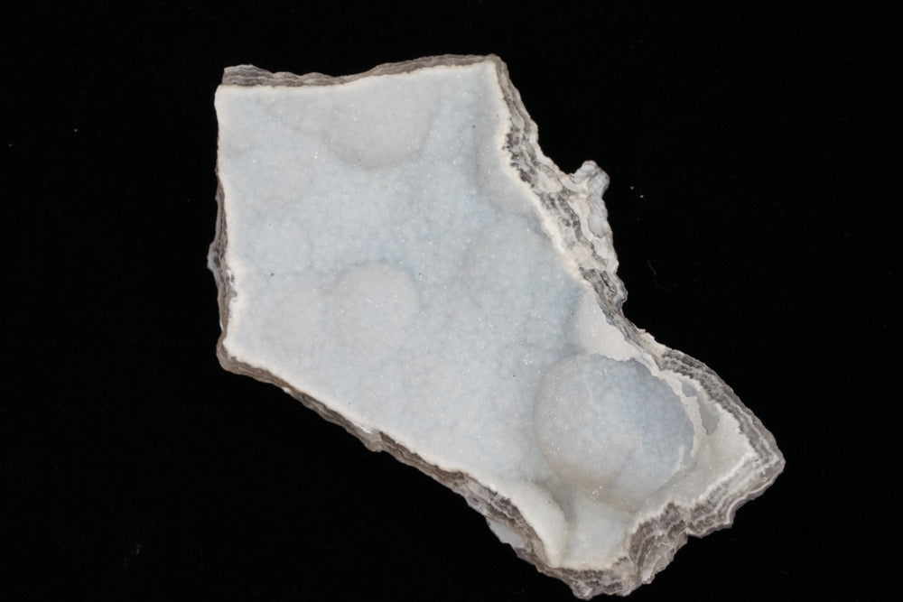 Coral Geode/Fossil with Crystals