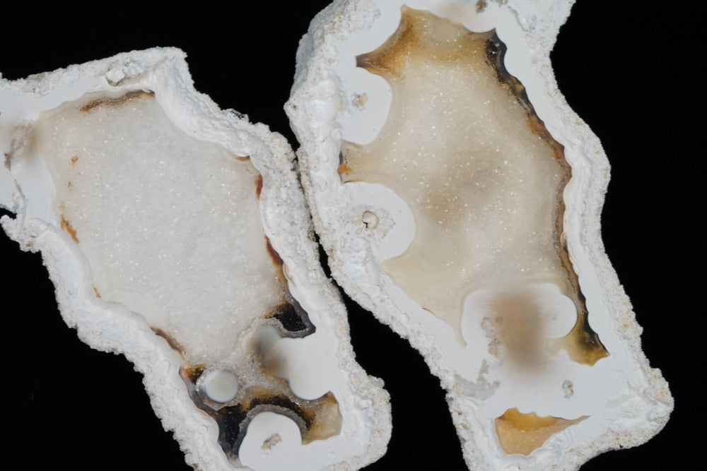 Polished Coral Geode/Fossil Pair with Crystals