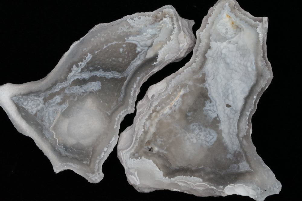 Polished Coral Geode/Fossil Pair with Crystals