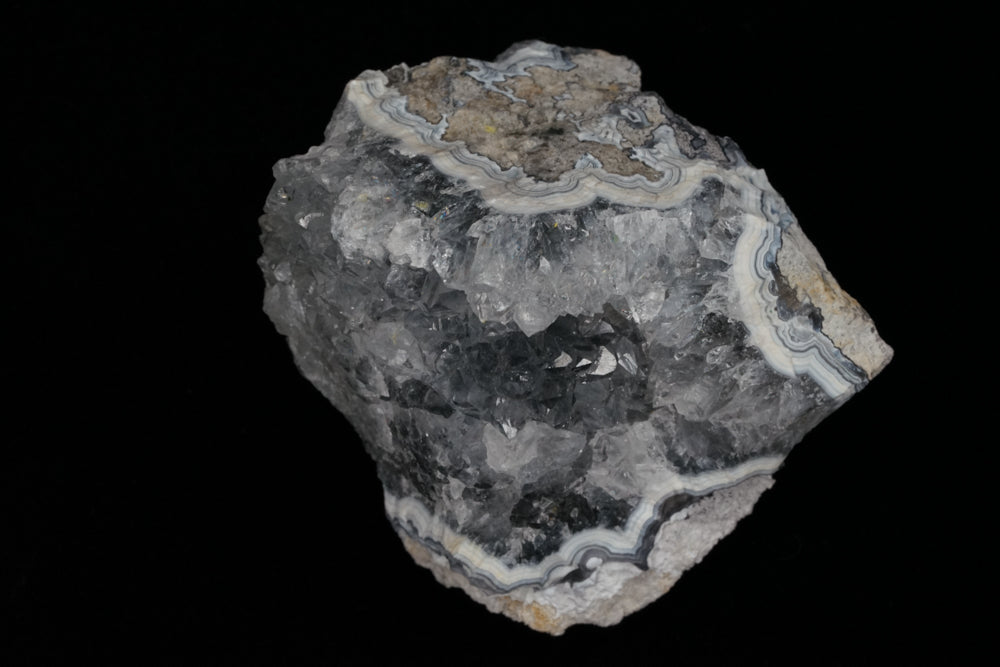 Coral Geode/Fossil with Crystals