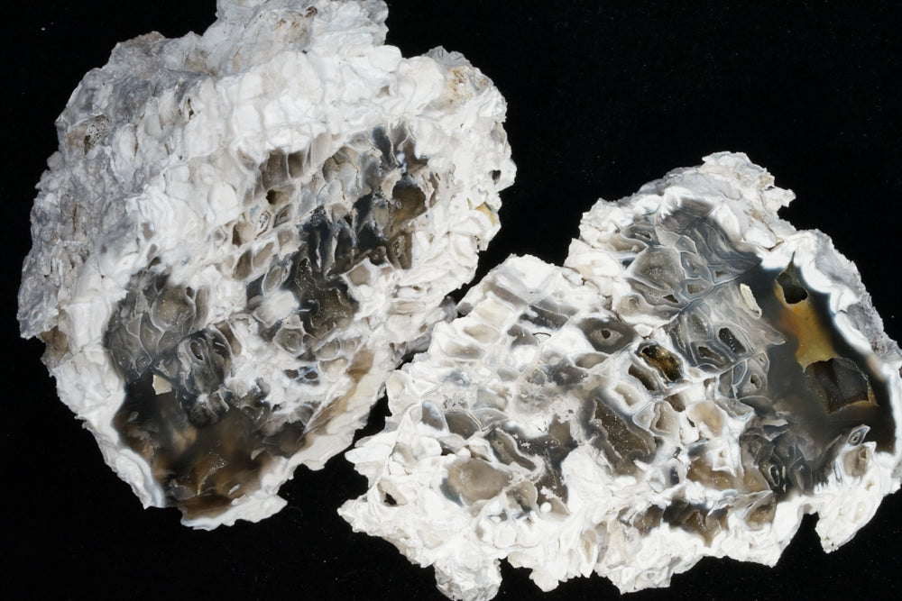 Polished Coral Geode/Fossil Pair with Crystals