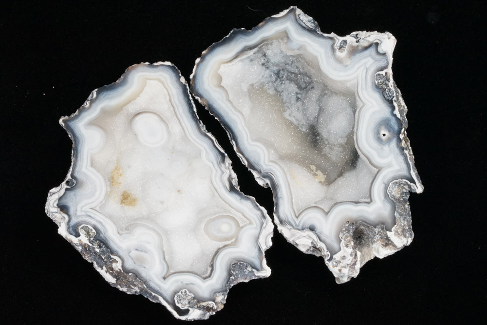 Polished Coral Geode/Fossil Pair with Crystals