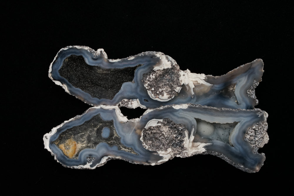 Polished Coral Geode/Fossil Pair with Crystals
