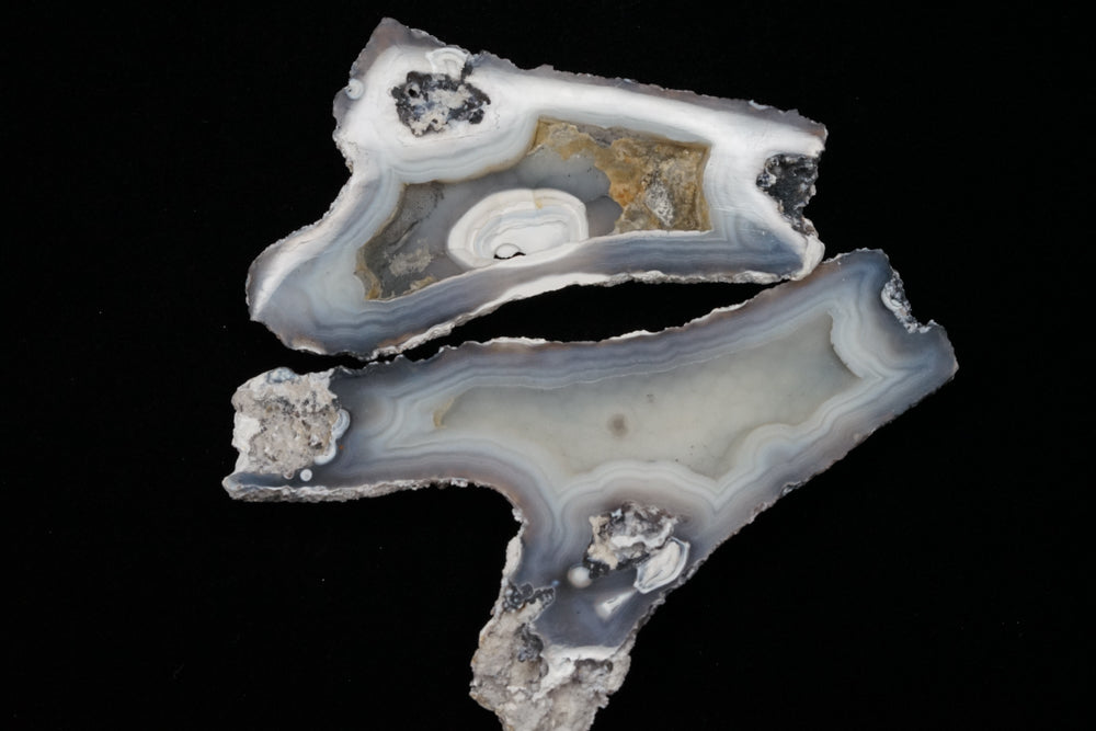 Polished Coral Geode/Fossil Pair