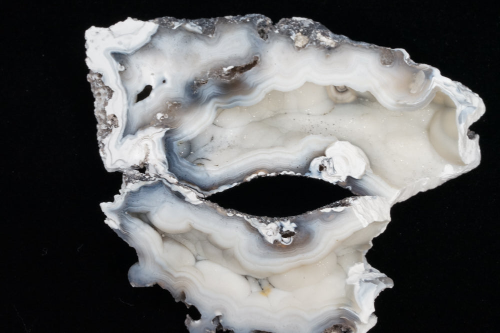 Polished Coral Geode/Fossil Pair with Crystals