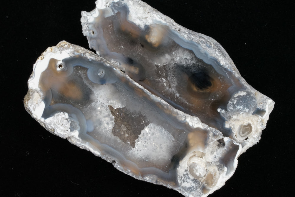 Polished Coral Geode/Fossil Pair with Crystals