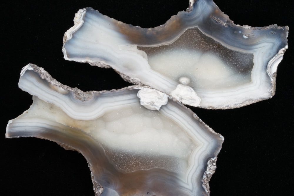 Polished Coral Geode/Fossil Pair with Crystals