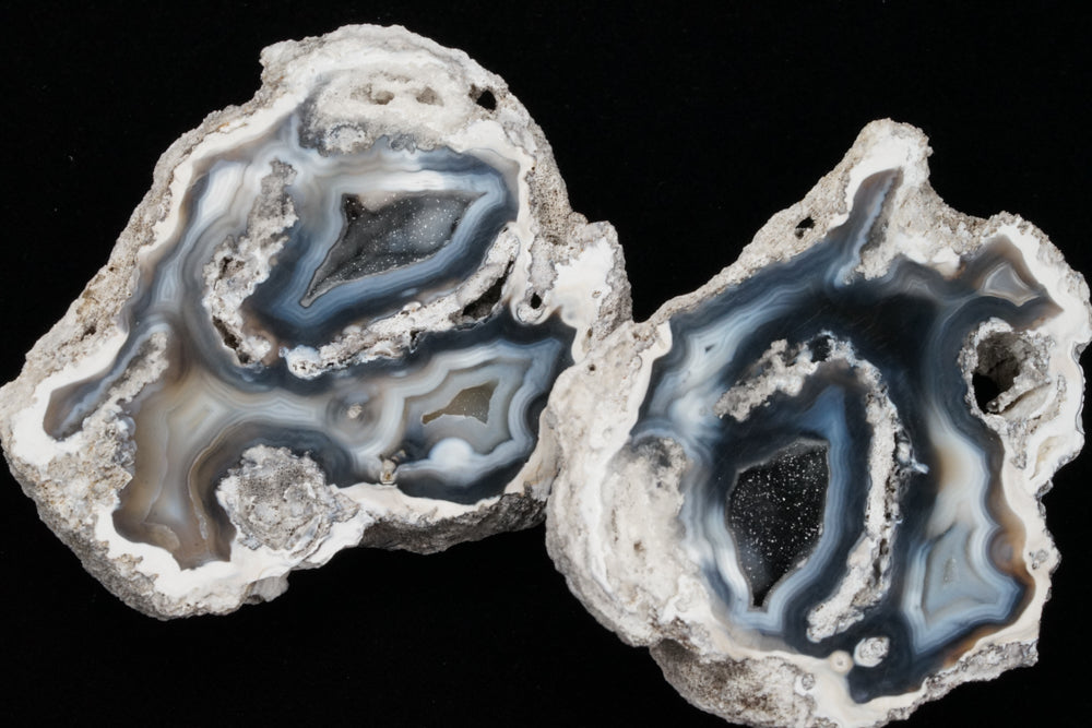 Polished Coral Geode/Fossil Pair with Crystals