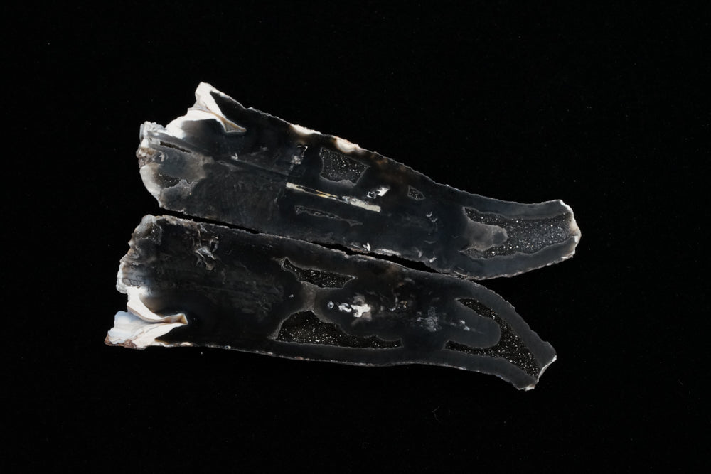 Polished Coral Geode/Fossil Pair with Crystals