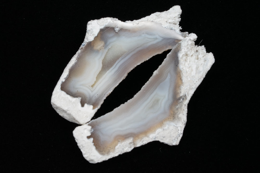 Polished Coral Geode/Fossil Pair with Crystals
