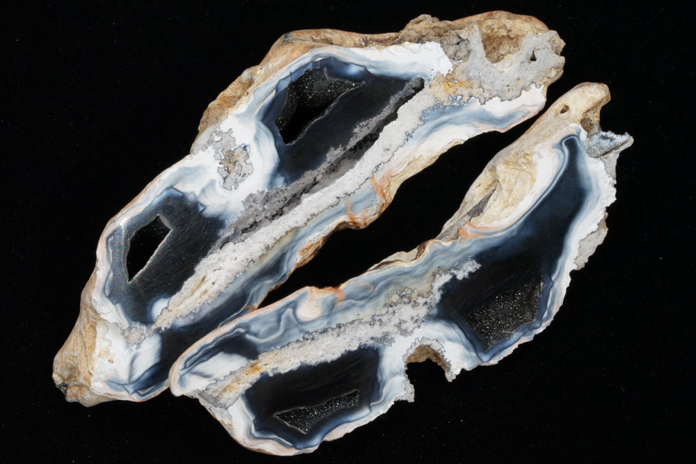 Polished Coral Geode/Fossil Pair with Crystals