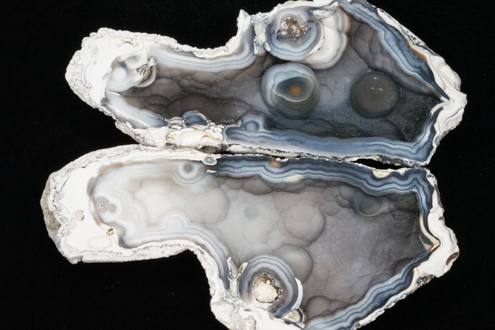 Polished Coral Geode/Fossil Pair with Crystals