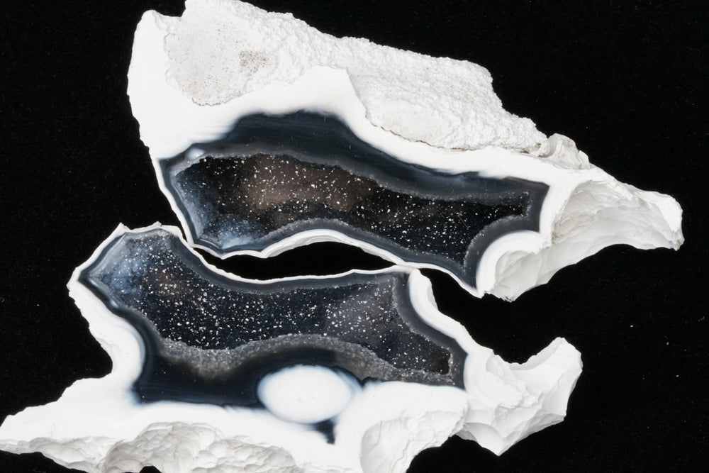 Polished Coral Geode/Fossil Pair with Crystals