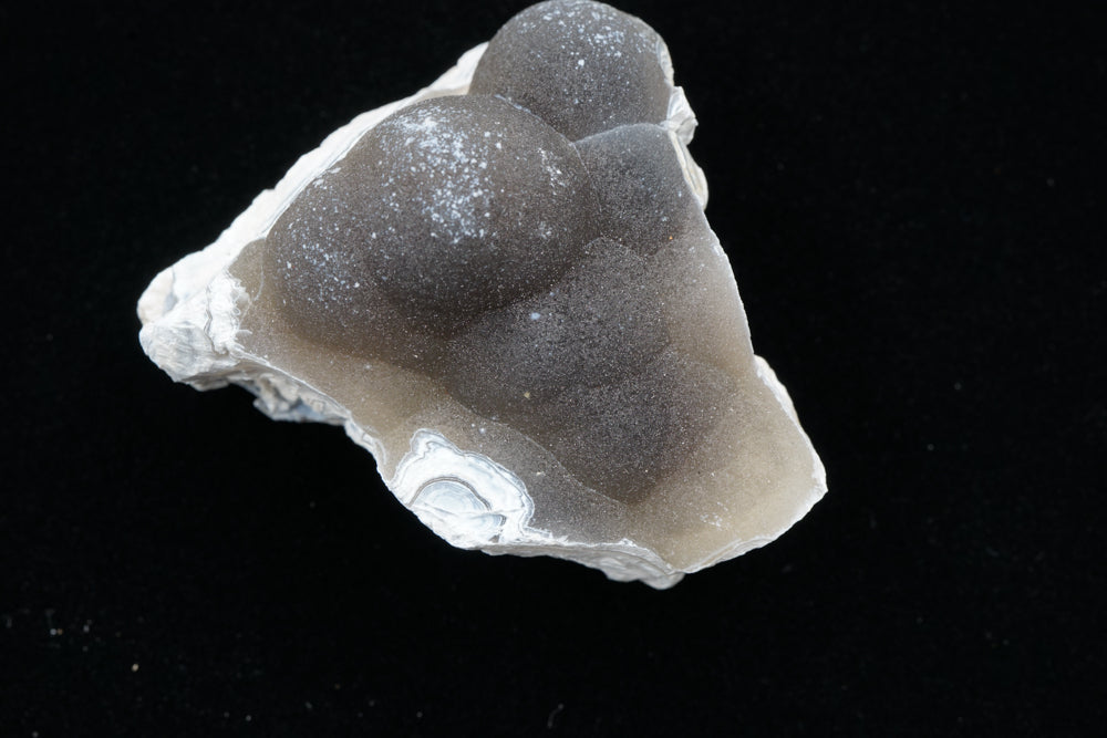 Coral Geode/Fossil with Crystals