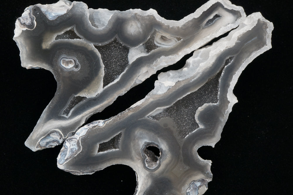 Polished Coral Geode/Fossil Pair with Crystals