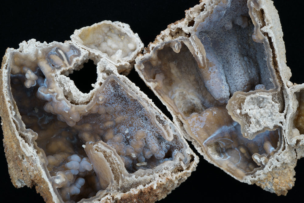 Polished Coral Geode/Fossil Pair with Crystals