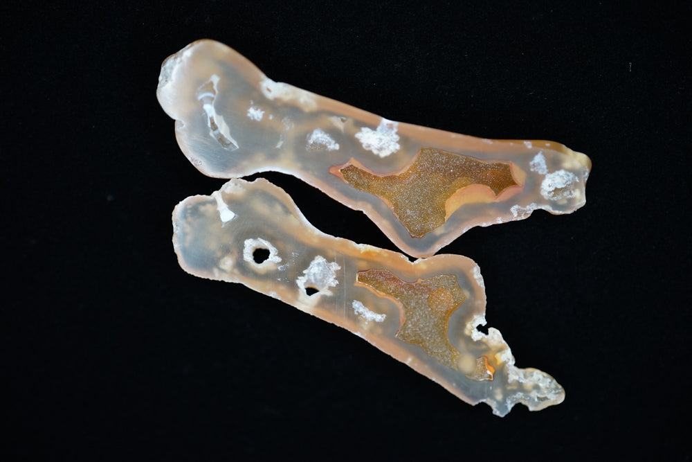 Polished Coral Geode/Fossil Pair with Crystals
