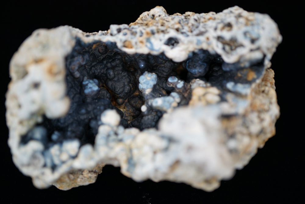 Coral Geode/Fossil