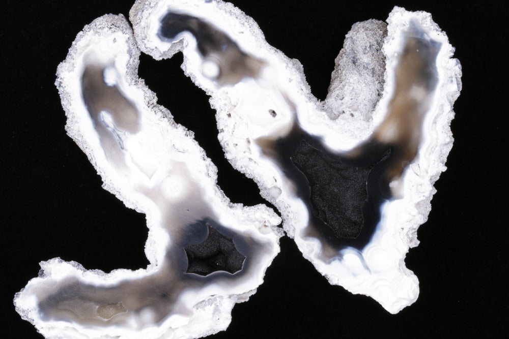 Polished Coral Geode/Fossil Pair with Crystals