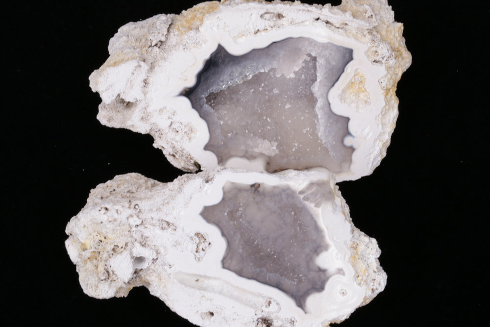 Polished Coral Geode/Fossil Pair with Crystals