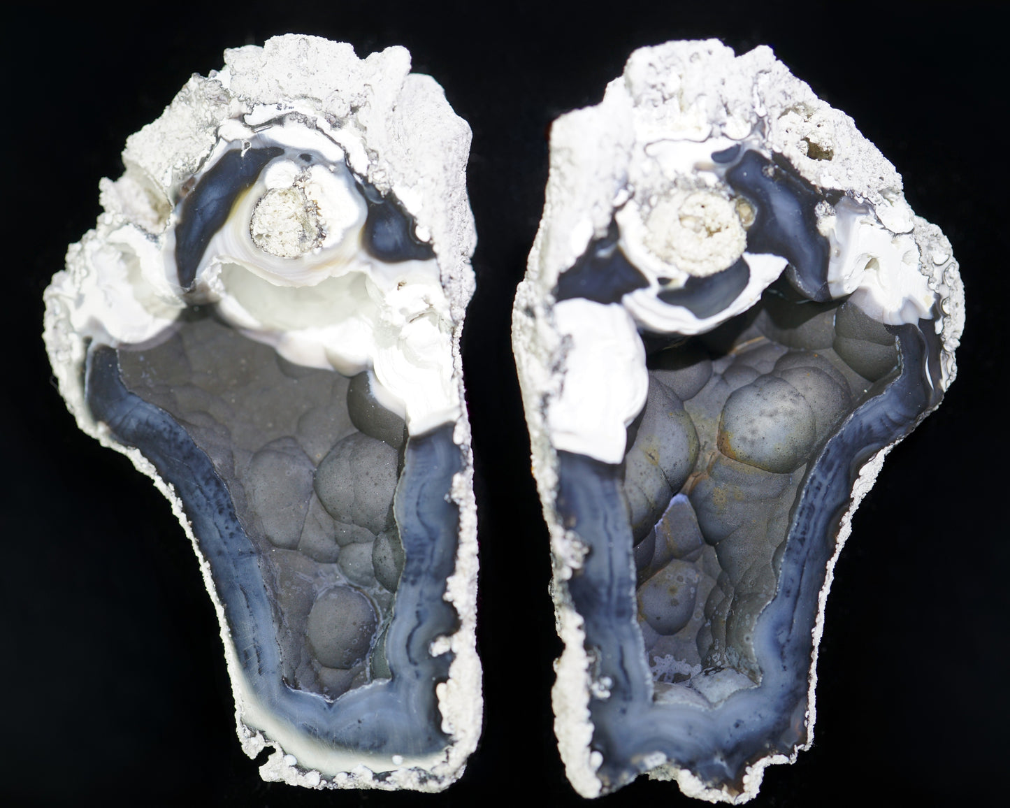 Polished Coral Geode/Fossil Pair