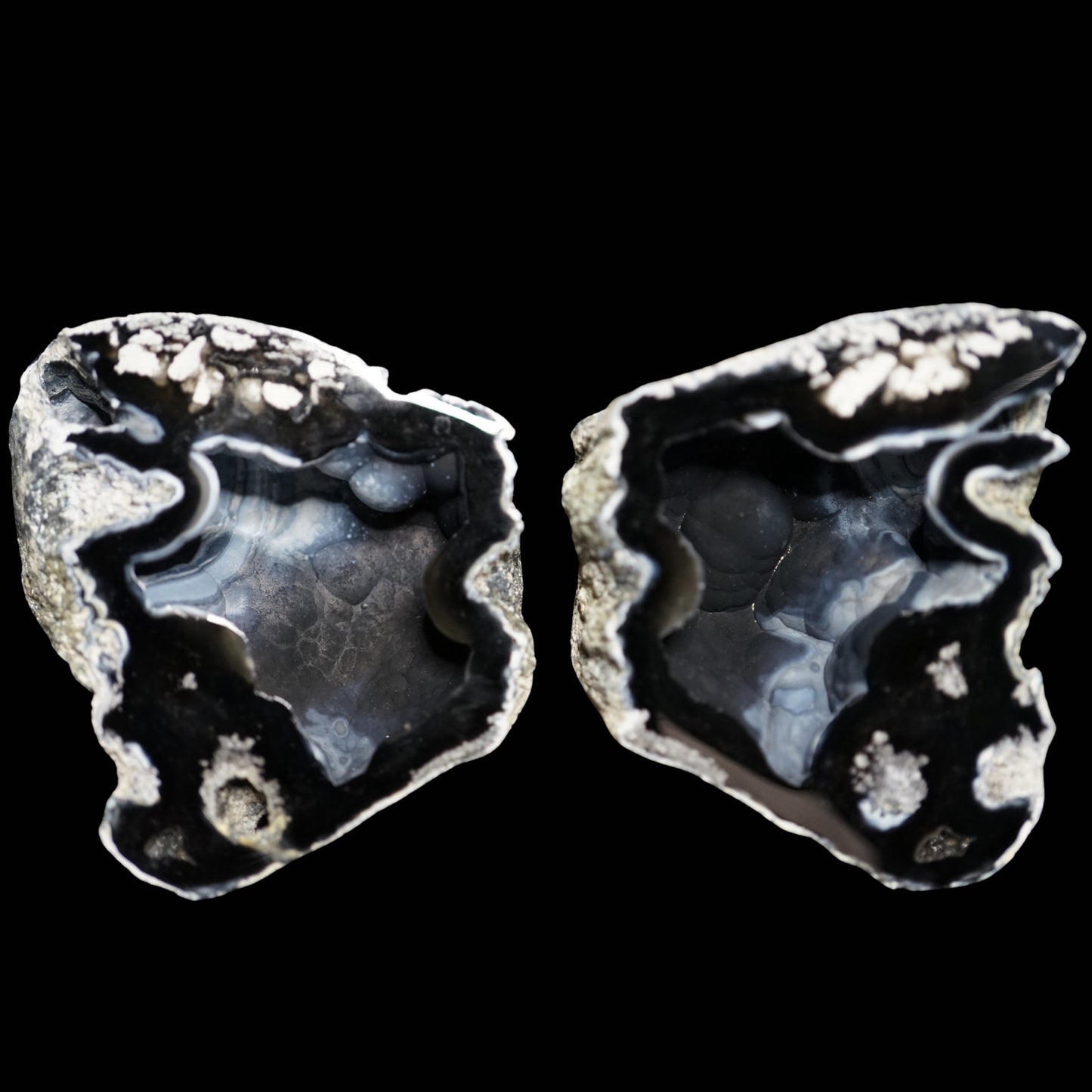 Polished Coral Geode/Fossil Pair