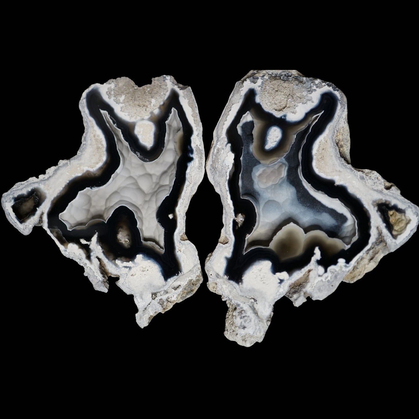 Polished Coral Geode/Fossil Pair
