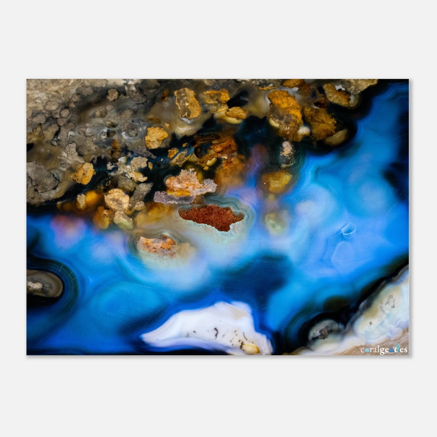 e81223c8-8ff0-49f8-95da-f7c4850242a8